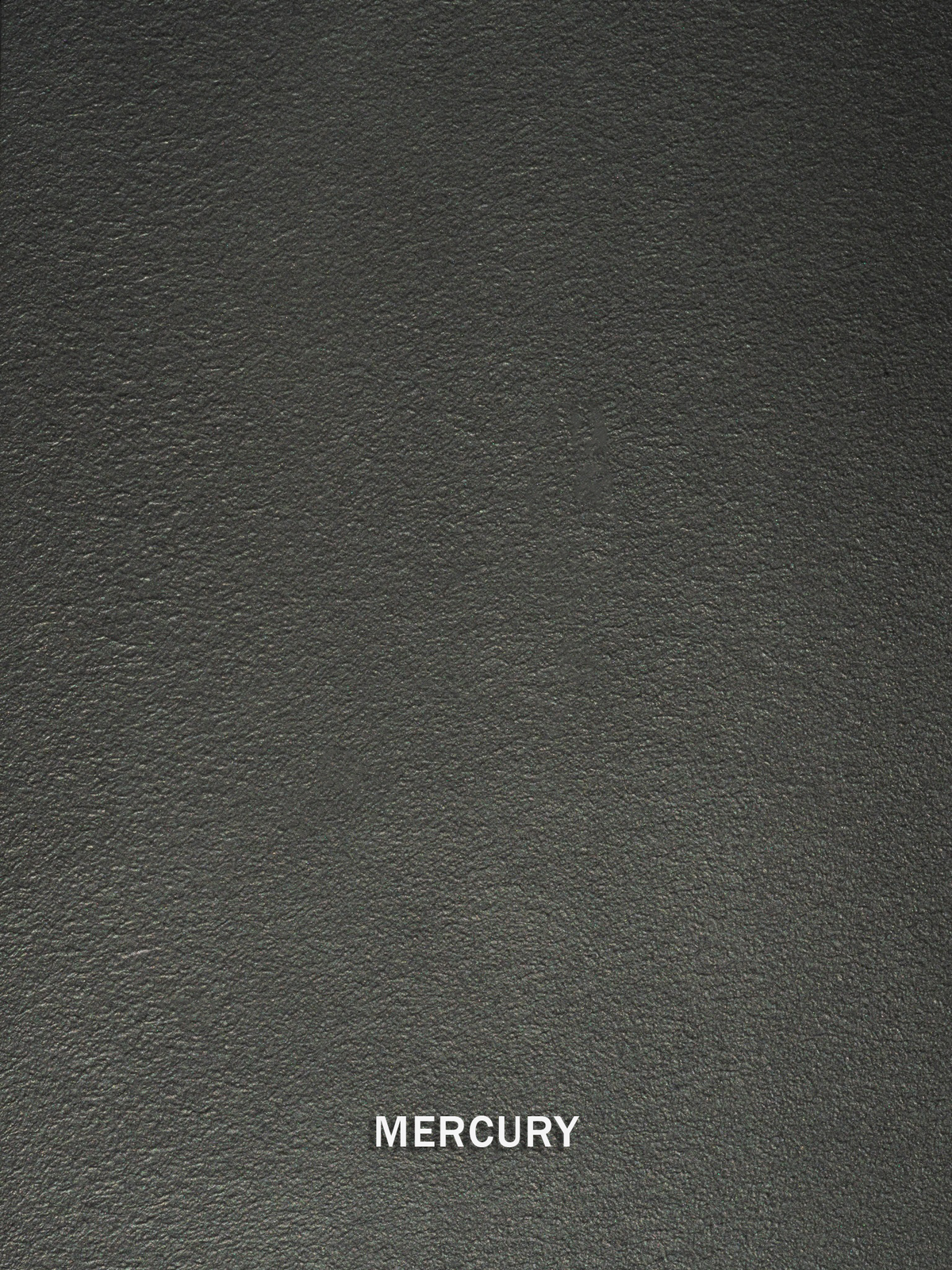 Mercury Metallic Paint enlarged