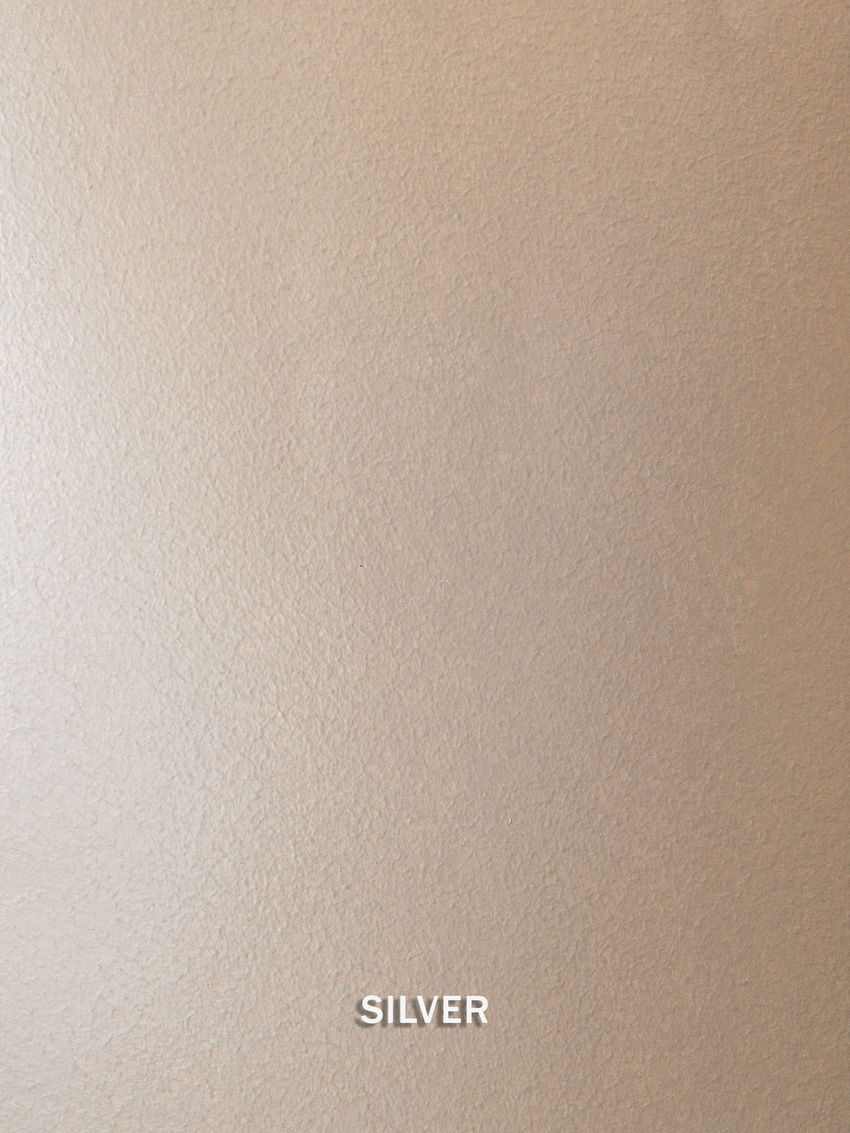 Silver Metallic Paint enlarged